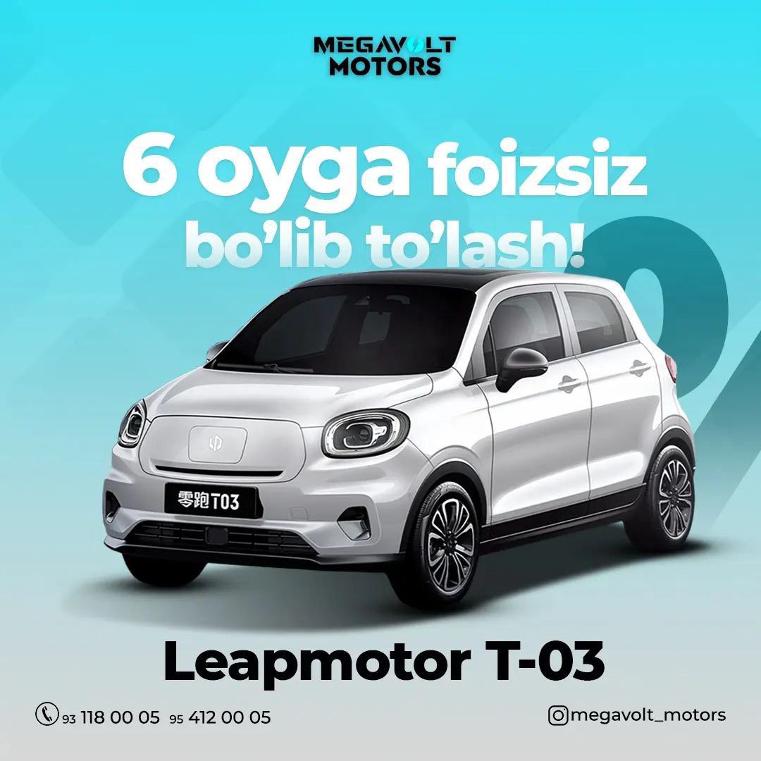 Leapmotor t 03. Leapmotor logo. Leapmotor Official.